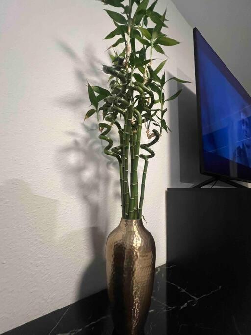 אאכן Modernes Apartment Mit 75Qm Mit Balkon & Aussicht מראה חיצוני תמונה